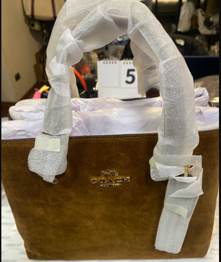 Tote Coach Marron