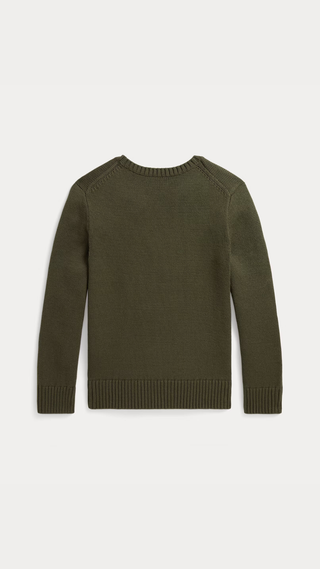 Sweater Polo Bear Polo Ralph Lauren Verde