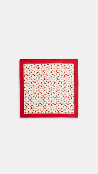 Panuelo Coach Cherry Blanco y Rojo