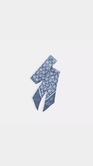 Pañuelo Coach Signature Silk Skinny Scarf Blue