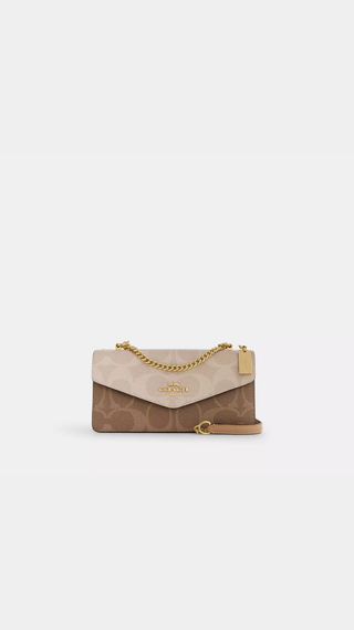 Crossbody Coach Brown Multi