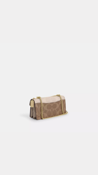 Crossbody Coach Brown Multi