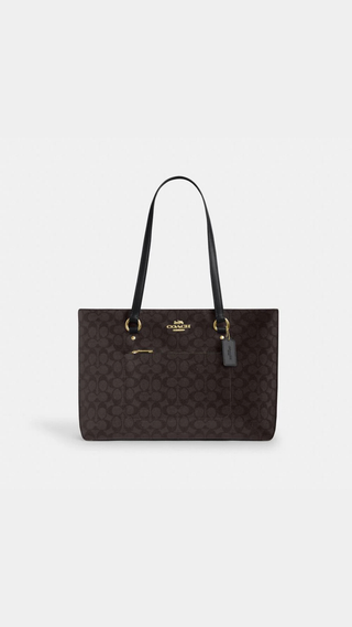 Tote Coach Station Tote Bag In Signature Canvas/Gold/Walnut/Black