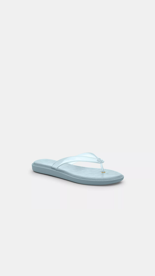Chancletas Coach Signature Flipflop Aguamarina
