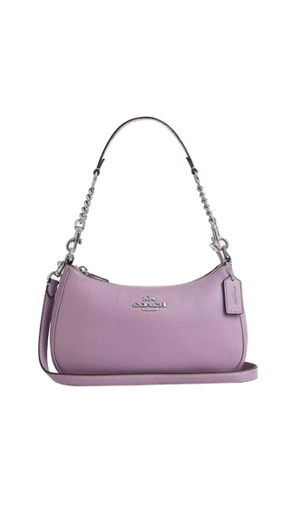Cartera Coach Teri Hobo Bag Silver Jasmine