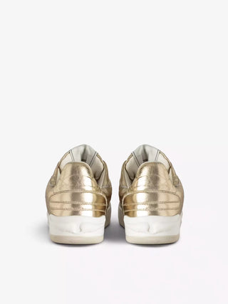 Zapatillas Zadig & Voltaire Wings Vintage Metal Graffiti Gold