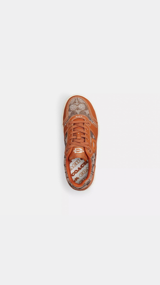 Zapatillas Coach Café